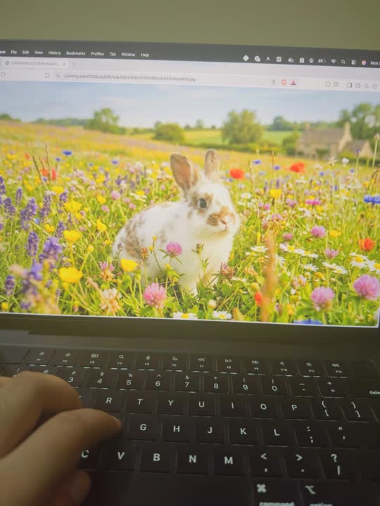 HappyHorse AI Video Generator | Create AI Videos From Text & Images