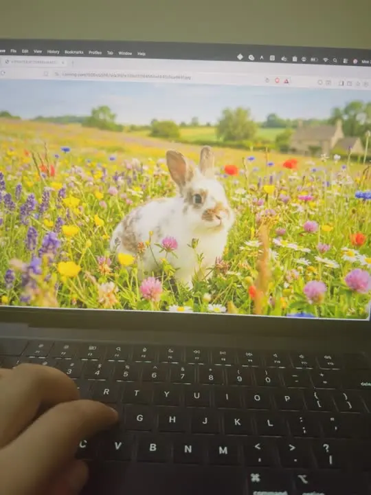 HappyHorse AI Video Generator | Create AI Videos From Text & Images