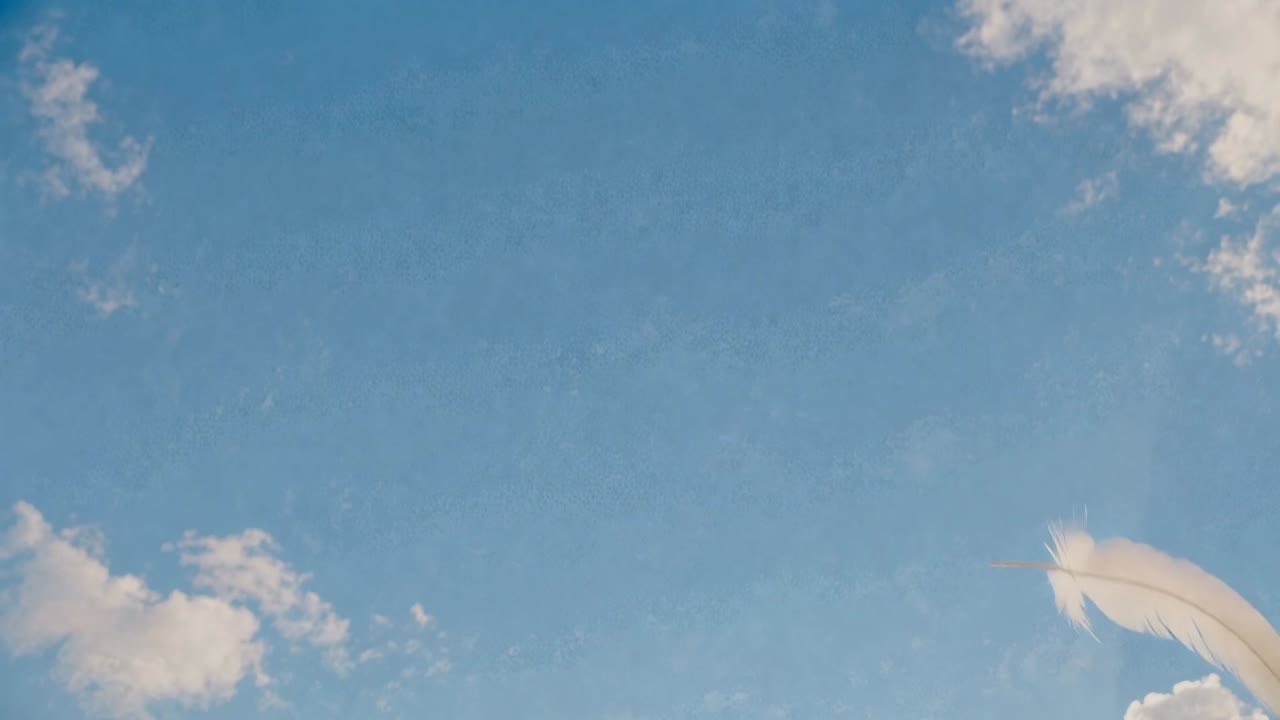 羽毛场景致敬